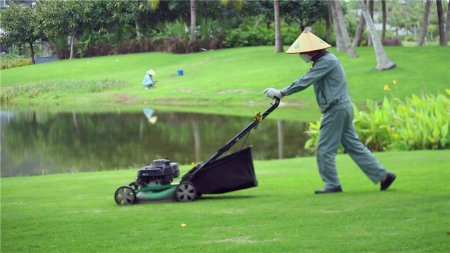 ��I(y��)�����O��